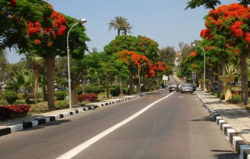 Montazah Gardens