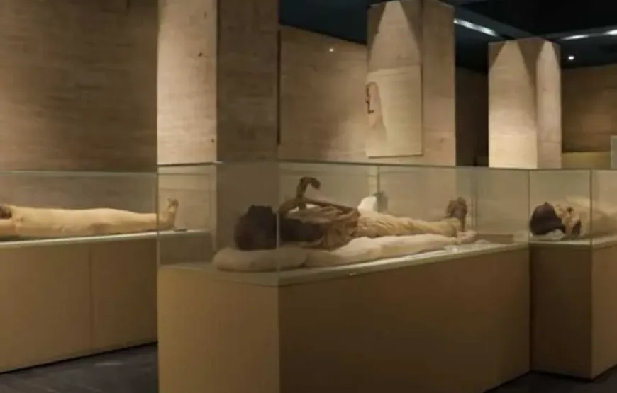 Cairo Day Tour: Egyptian Civilization Museum, Citadel & Old Cairo