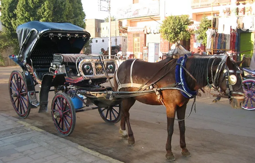 Cairo Free Walking Tour | Explore the City’s Hidden Charms