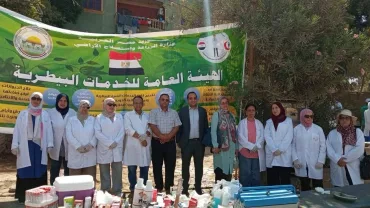 Giza Governorate Launches Veterinary Campaign to Care for Horses and Camels at the Pyramids