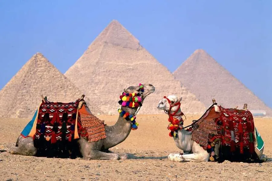 Day tour to Cairo from Sharm El Sheik by plane